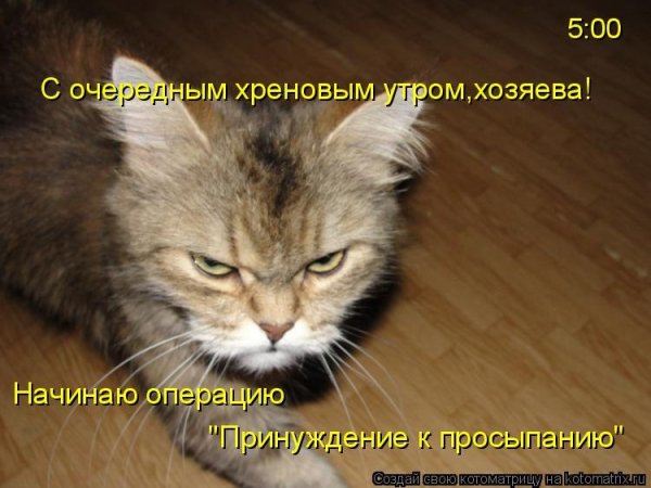 Начинаю операцию...