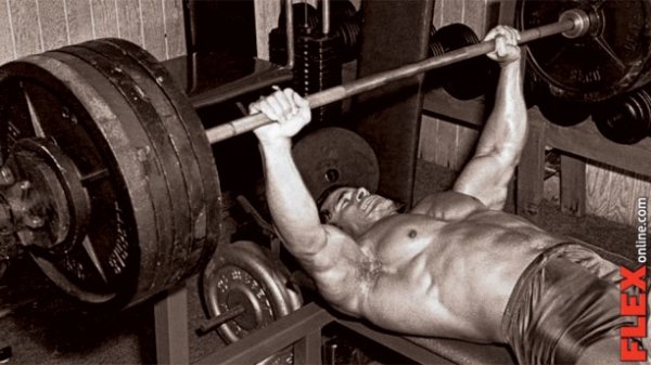 13flex franco bench 970