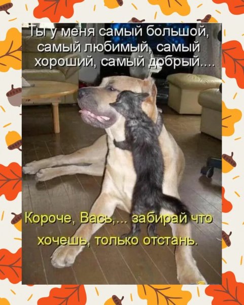 Короче, Вась...