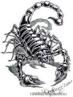skarpion.--