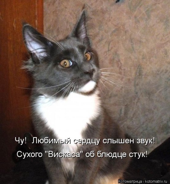 Опаньки!