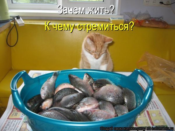Печалька