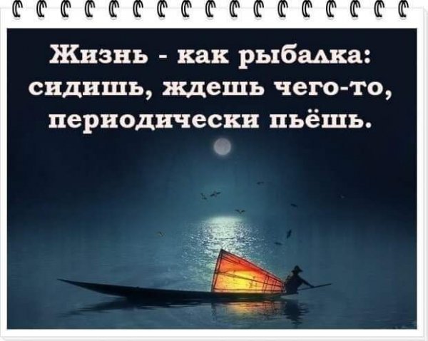 Жизнь...