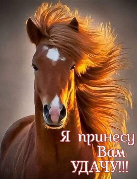 FB IMG 1617323441590