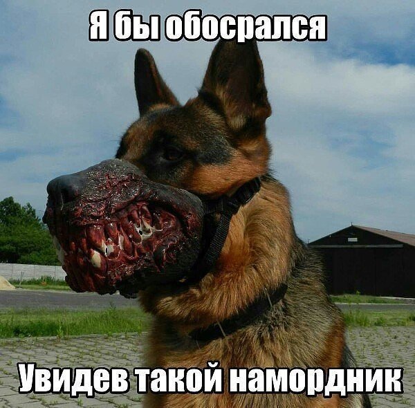 ))