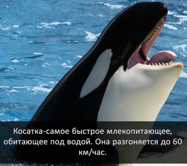 H-f6nV3Q2WE