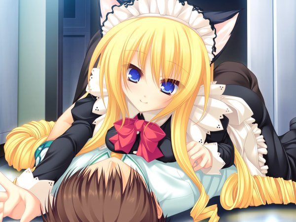 mikagami mamizu neko koi koshimizu rei devushka blondinka kud