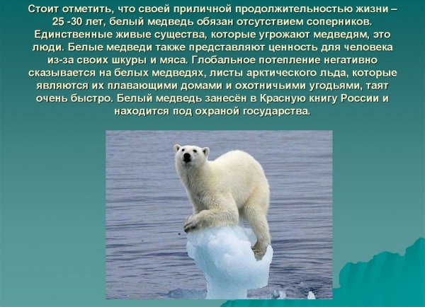 Стоит отметить...