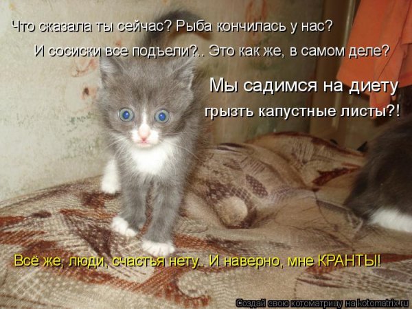 Что сказала...