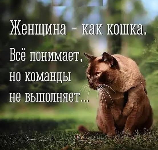 Женщина