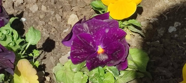 IMG 20240401 085201