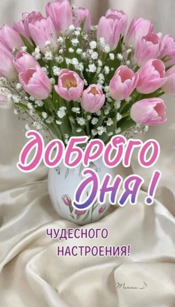 IMG 20260811 002639045