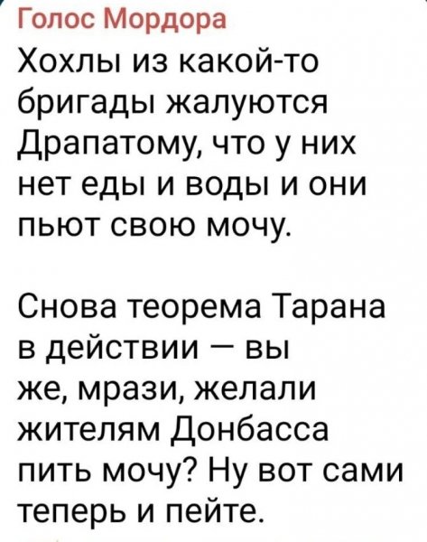 IMG 20260812 204931
