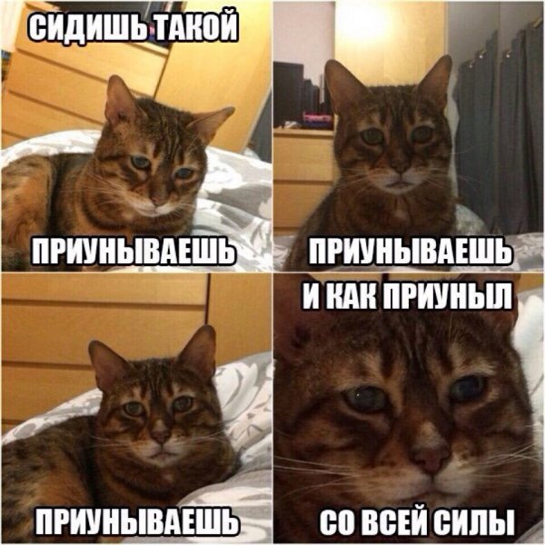 Опаньки!