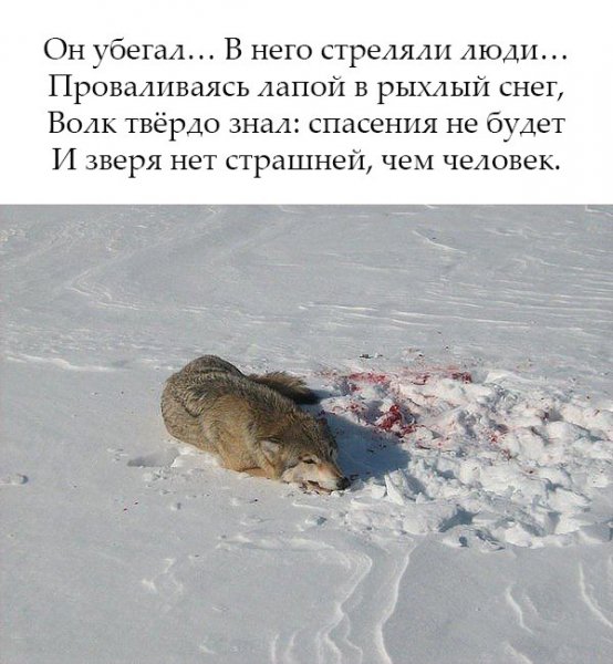H4zqvAvjQis