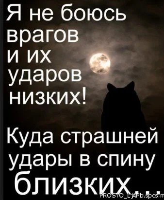 IMG 20190715 090344 618
