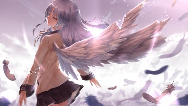 original Light Feathers Purple