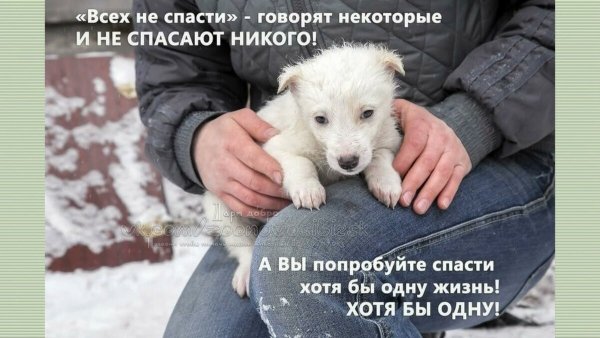 Хотя бы одну!