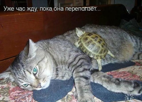 Уже час жду...