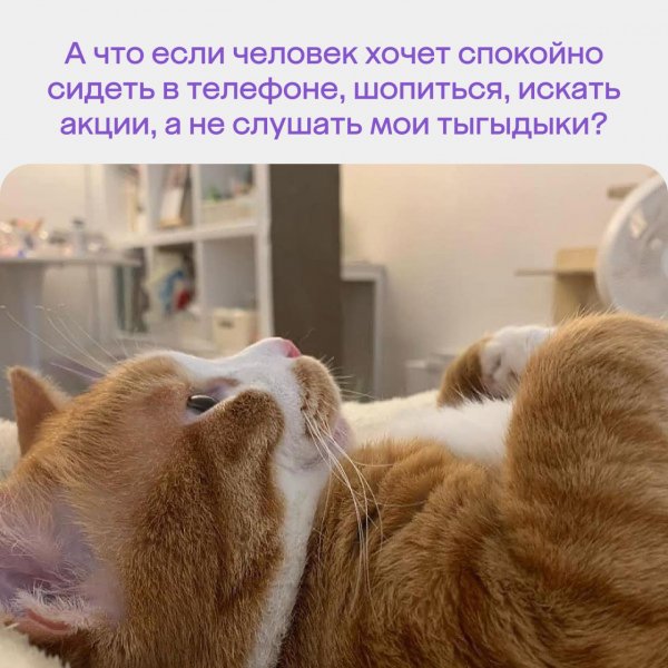 А что если...