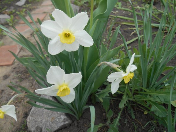 DSCN0015