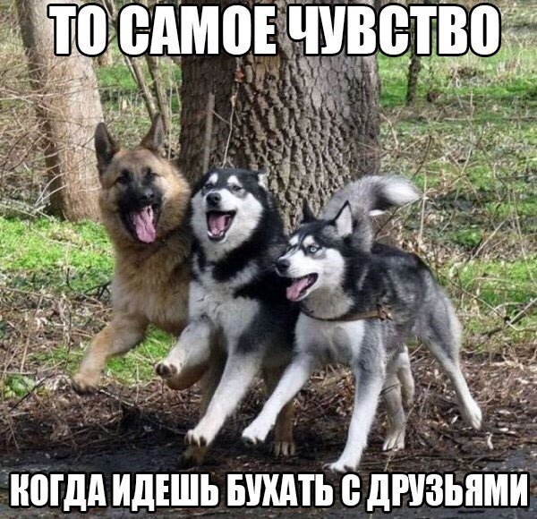 image003