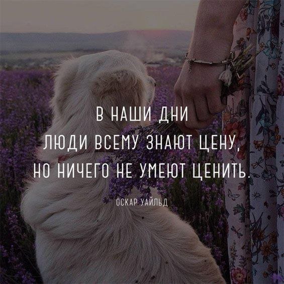 IMG 20260606 115019 393