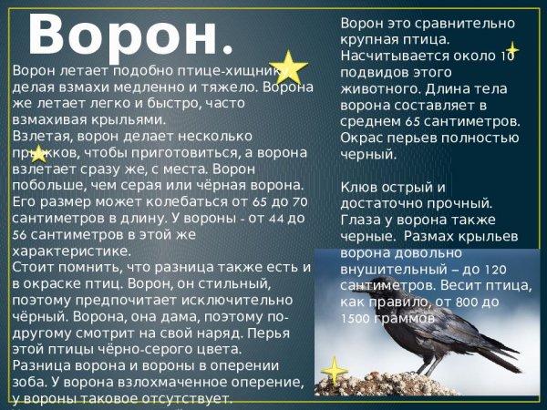 Ворон