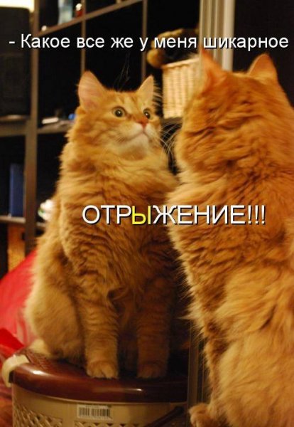 Отрыжение!!!
