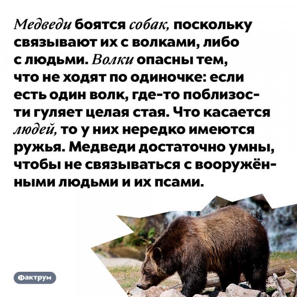 Небольшой факт