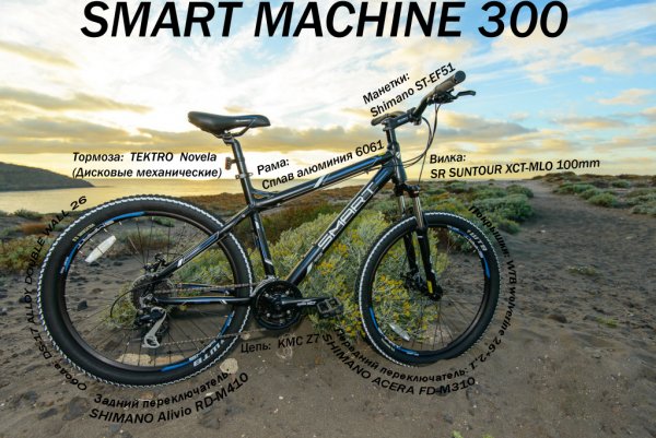 Smart Machine 300