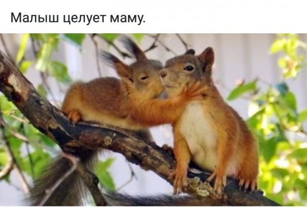 IMG 20190908 210841