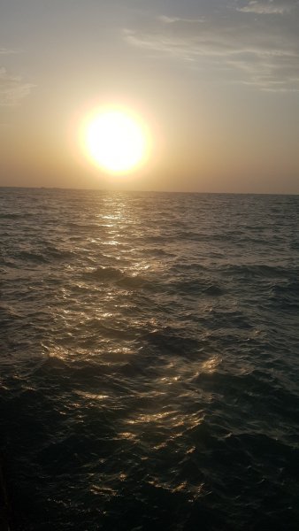 picture_325925314