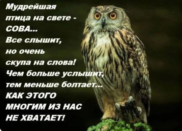 IMG 20230224 104042