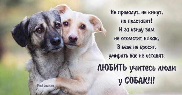 Так!