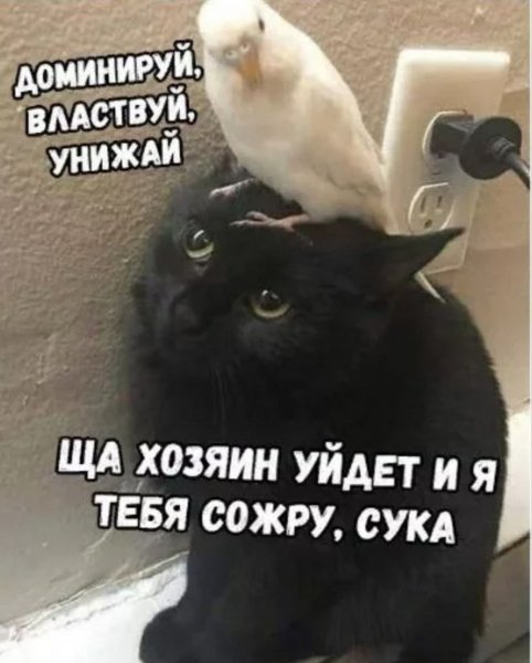 IMG 20260827 111342 214