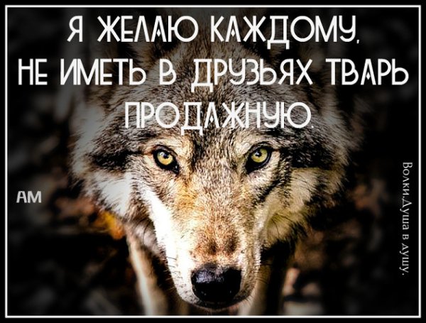 Желаю