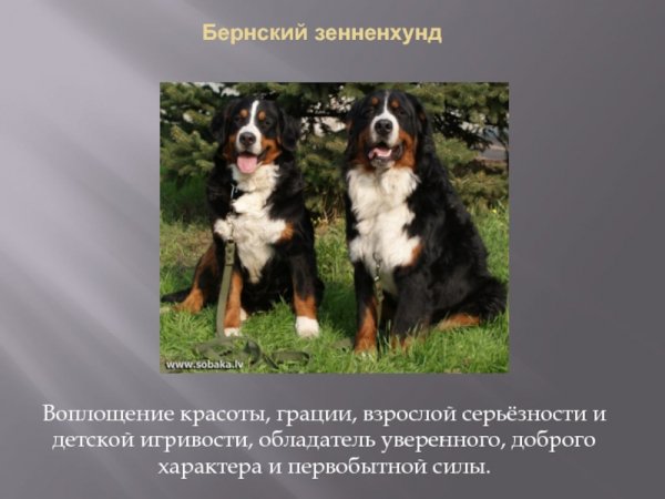 Верно!