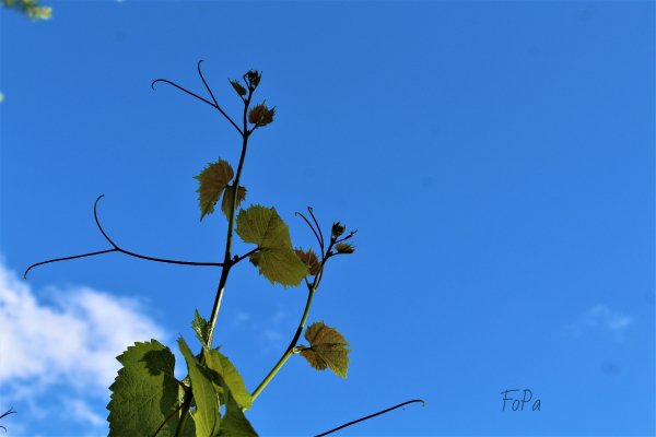 62b346ddb79a8 IMG 6084