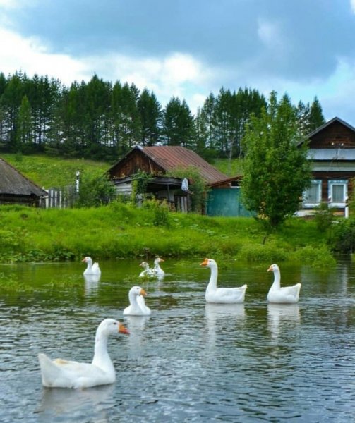 Домик у реки
