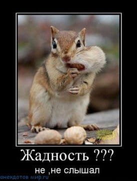 IMG-20181201-WA0009