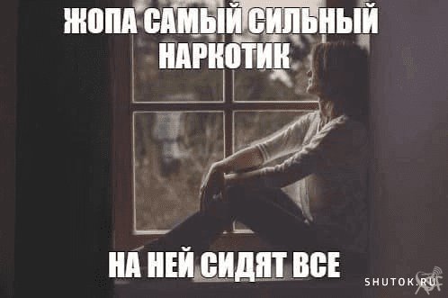 png.23164
