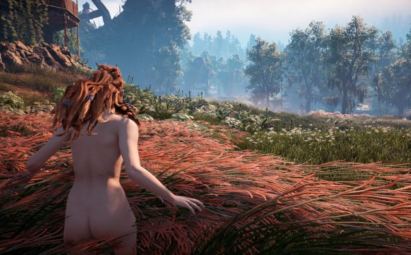 Horizon Zero Dawn - В поле