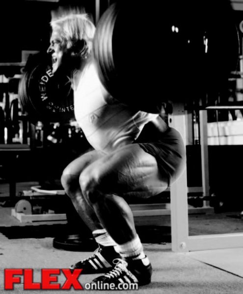 13flex tom-platz squat inset