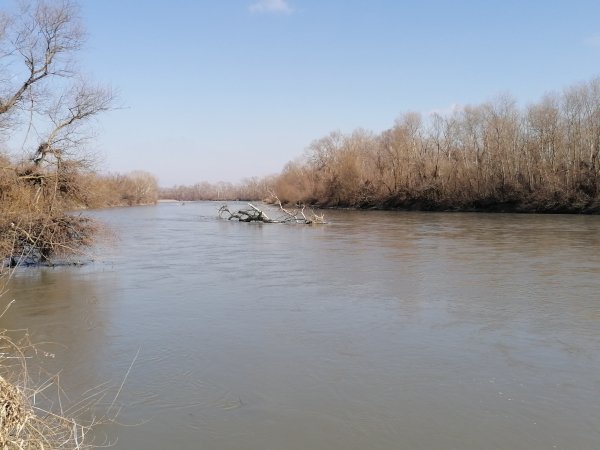IMG 20250309 135239