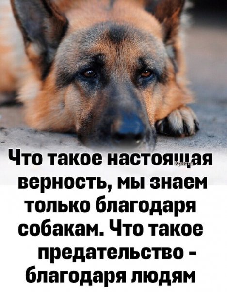 Верность
