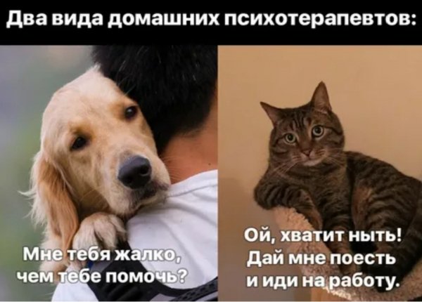 Где-то так... )))