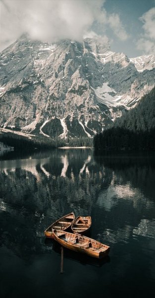 Арт Природа