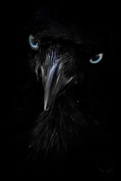T3Hrg7DrFq-JxNKLaUZsO0Fftj8DcJV3P3lsaLV hF9iwd3gKWOkqQo2PX