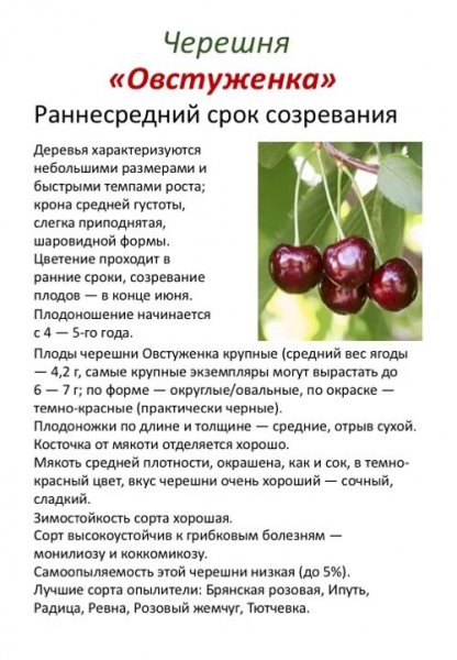 "Овстуженка"